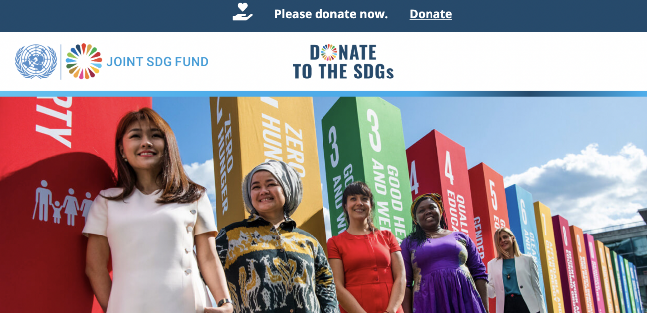 Donate to the Sustainable Development Goals